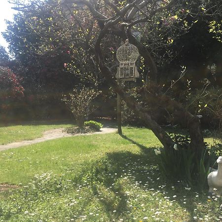 La Pallanzotta Verbania Dış mekan fotoğraf