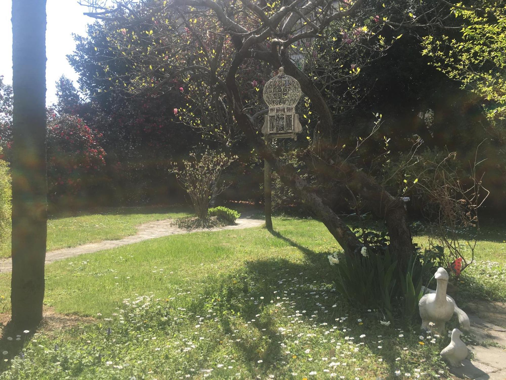 La Pallanzotta Verbania Dış mekan fotoğraf